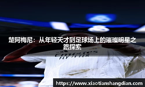 必一运动(B-Sports)官方网站