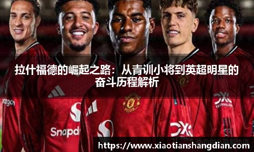 必一运动(B-Sports)官方网站
