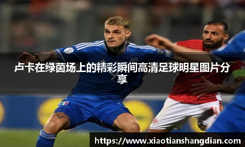 必一·体育(b-sports)