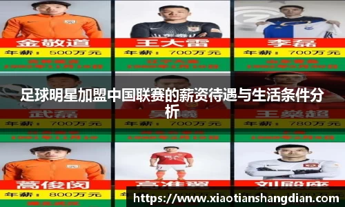 必一·体育(b-sports)