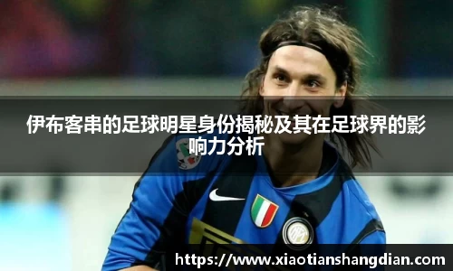 伊布客串的足球明星身份揭秘及其在足球界的影响力分析