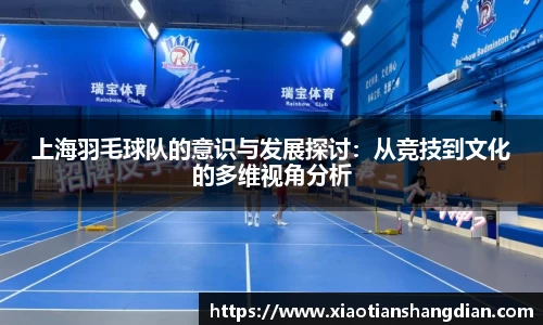 上海羽毛球队的意识与发展探讨：从竞技到文化的多维视角分析